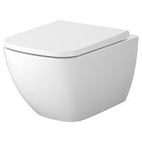 Чаша унітаза Zen Pro з сидінням Slim