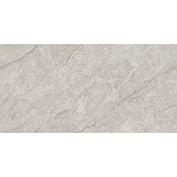 Грес Absolute Grey Endless Car