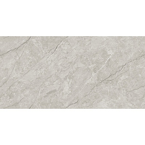 Грес Absolute Grey Endless Car