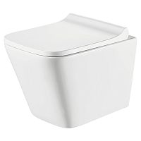 Чаша унитаза Vigo Tornado с сиденьем