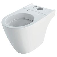 Чаша унитаза iCon Rimfree