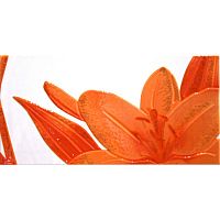 Декор Fenix Naranja