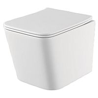 Чаша унитаза Borneo Rimless с сиденьем