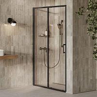 Душевые двери XPSDP2-110 Transparent+черный