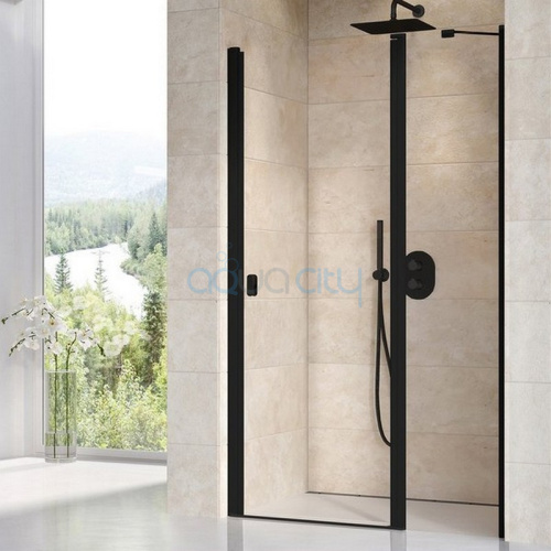 Душові двері CSD2-110 Transparent+чорний