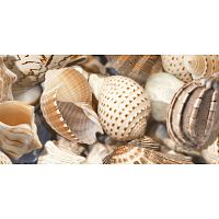 Декор Sea Breeze Shells-2