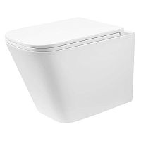 Чаша унітаза Trend Pro з сидінням Soft-close