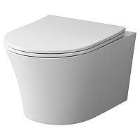 Чаша унитаза Tender FlashClean с сиденьем