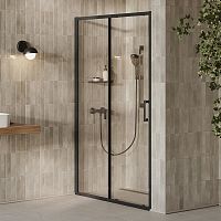 Душові двері XPSDP2-120 Transparent+чорний