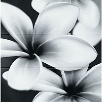 Декор Gray Flower Composition
