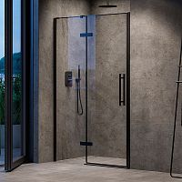 Душевые двери COSD 2-110 Transparent+черный